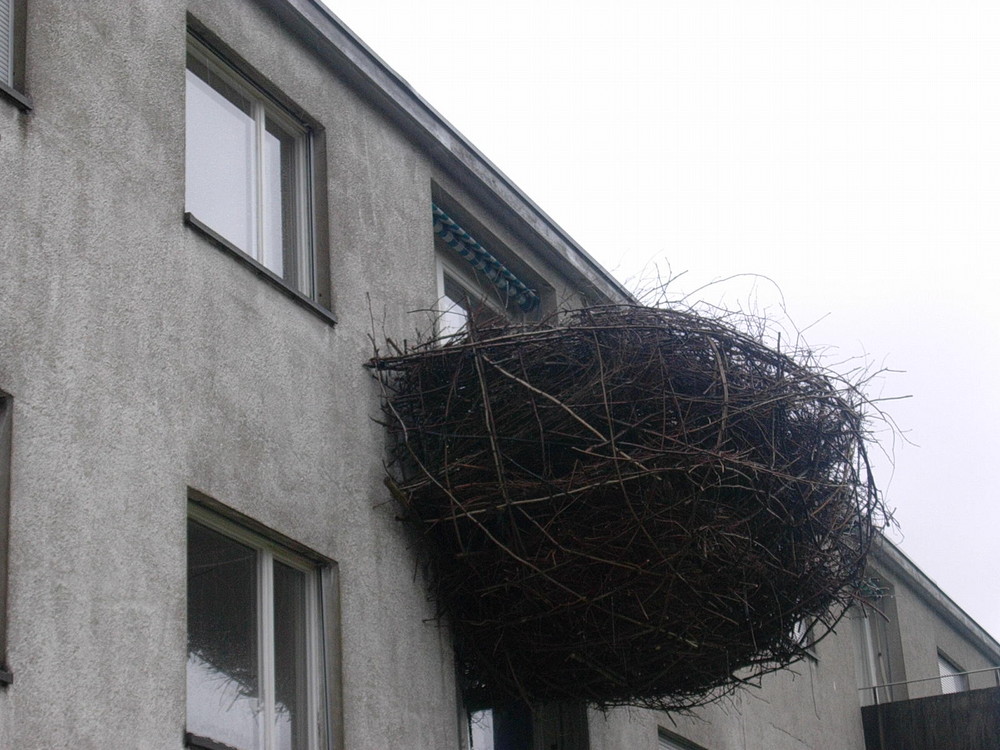 Gesehen bei Zürich bevor das Wohnblock abreisst