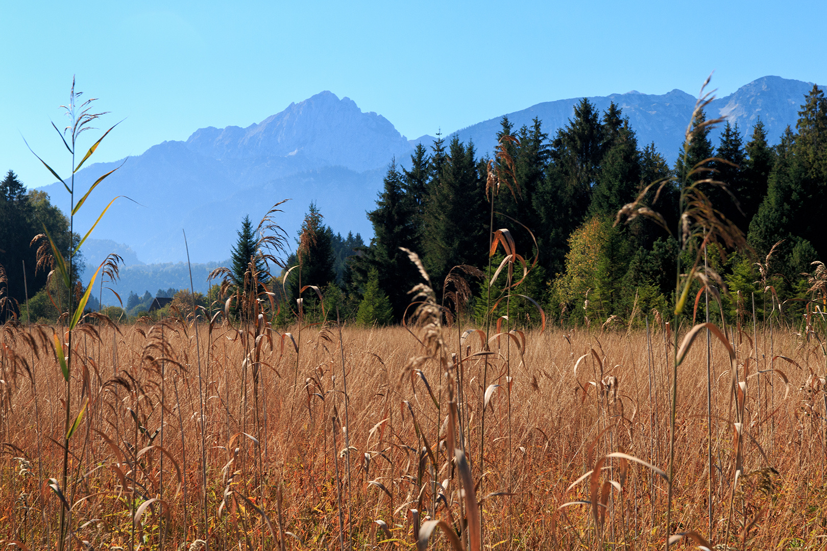 ...gesehen beim Spaziergang am Hopfensee