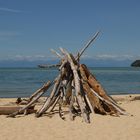 Gesehen im Abel Tasman NP