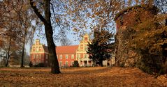 Gesehen im Goldenen November ... in Meyenburg