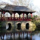 gesehen im Japanischen Garten in Leverkusen