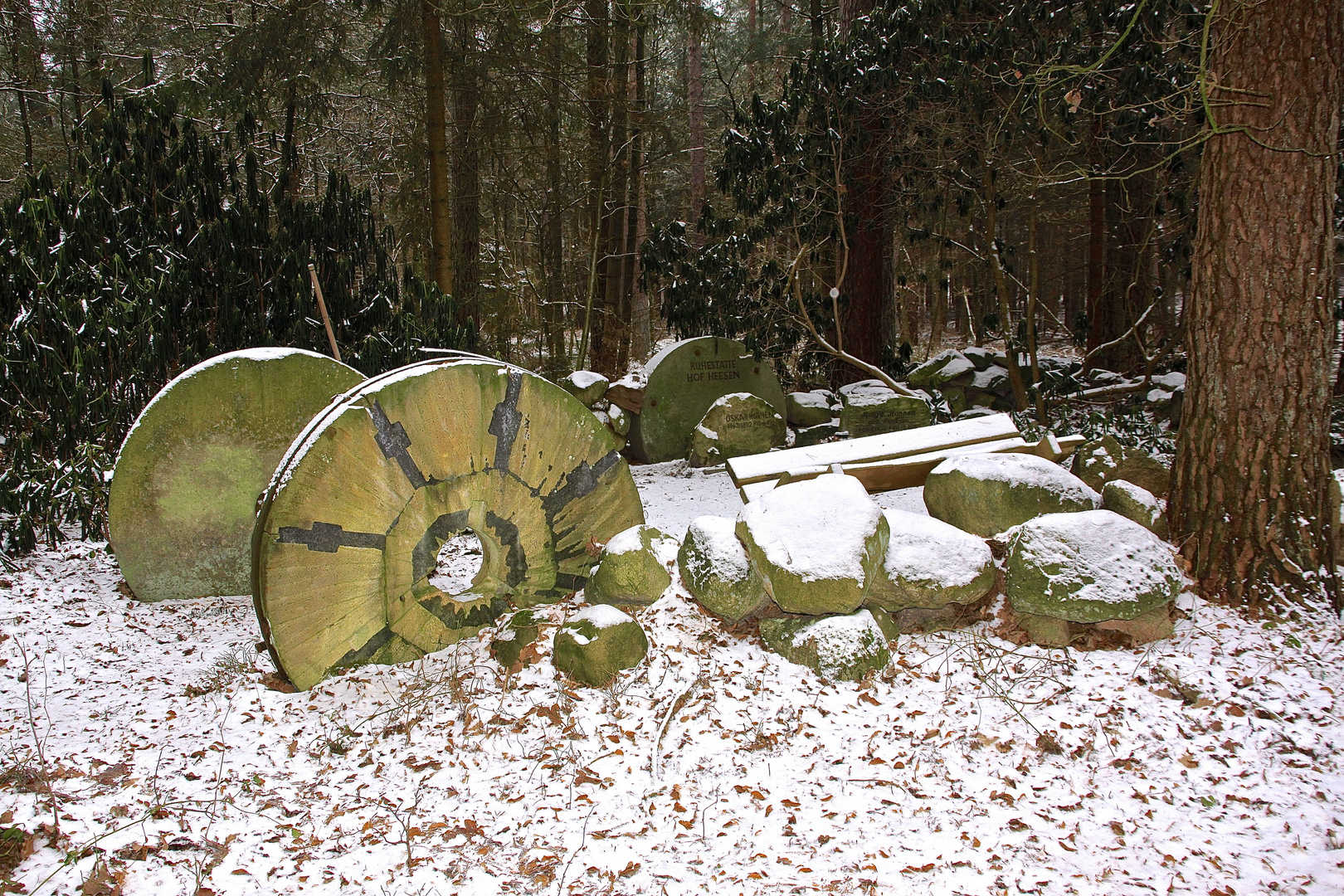 gesehen im Wald, in  Wulsbüttel