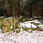 gesehen im Wald, in  Wulsbüttel