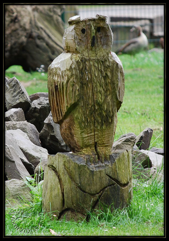 Gesehen im Wildpark Köln-Lindenthal