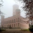 Gesehen in der Granitz - Jagdschloss im Nebel (Farbvariante)