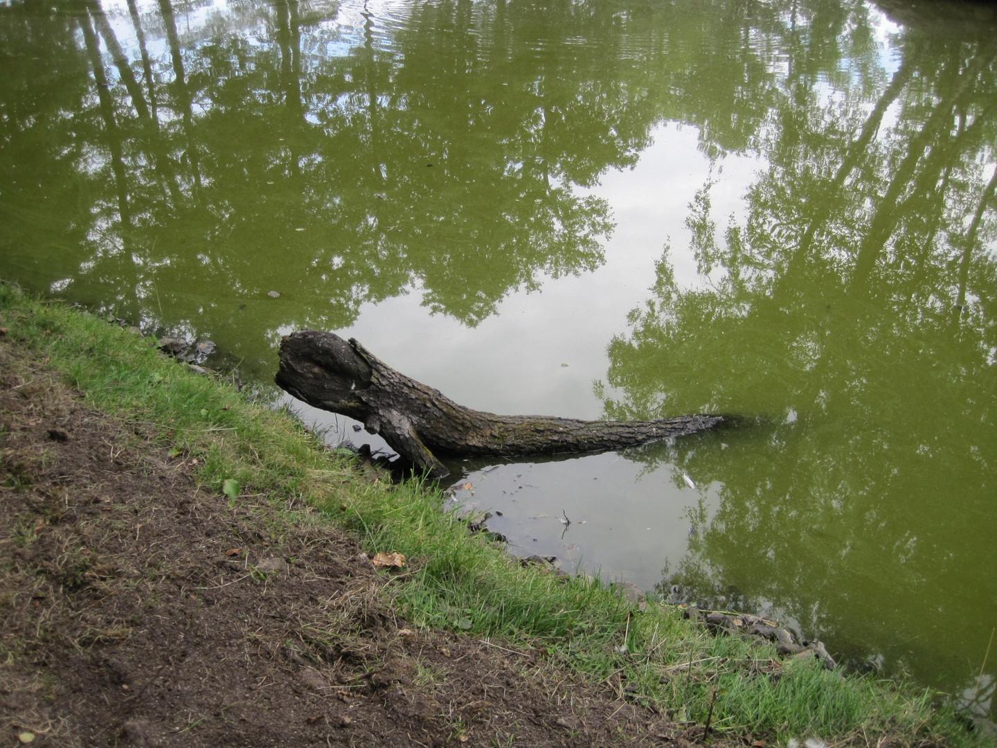 gesehen in Franzensbad