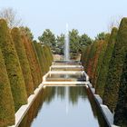 Gesehen in Keukenhof Lisse Niederlande 2