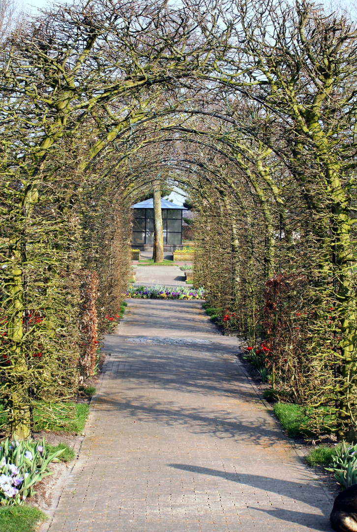 Gesehen in Keukenhof Lisse Niederlande 