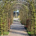 Gesehen in Keukenhof Lisse Niederlande 