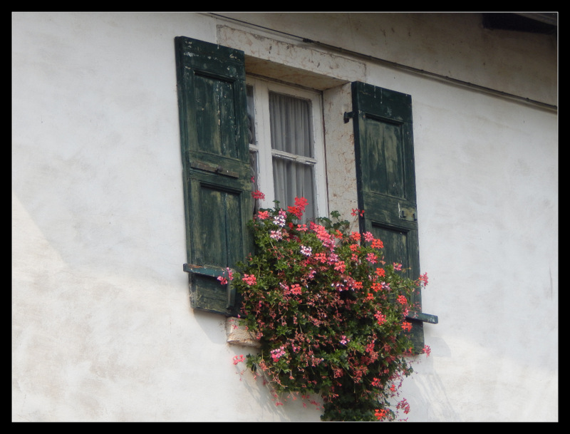 gesehen in Torri de Benaco, Gardasee,.,