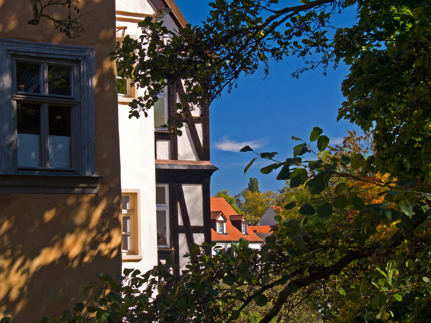 gesehen in wunderschönen Bamberg