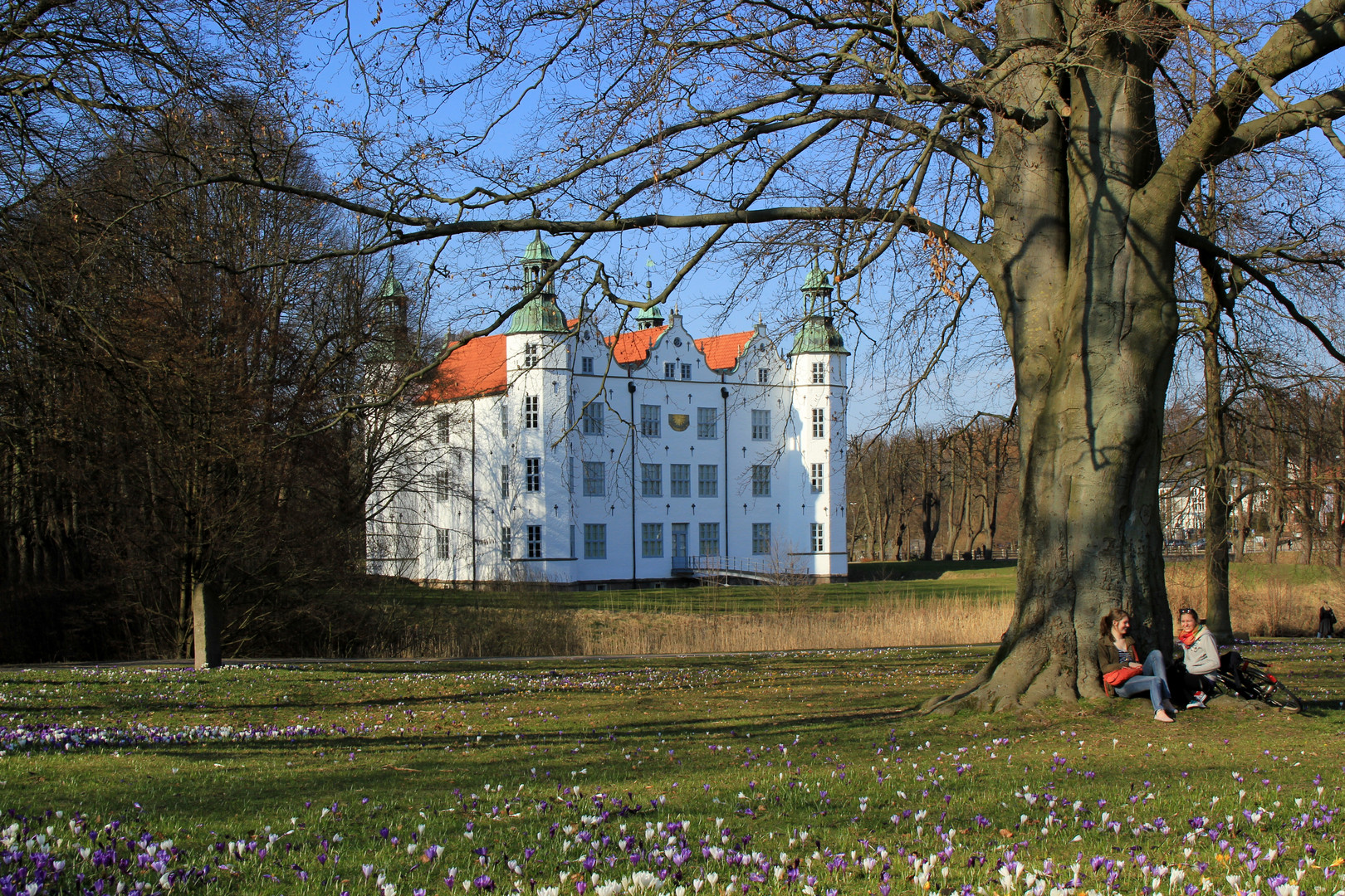 Gesehen wenn der Frühling erwacht... Schloß Ahrensburg