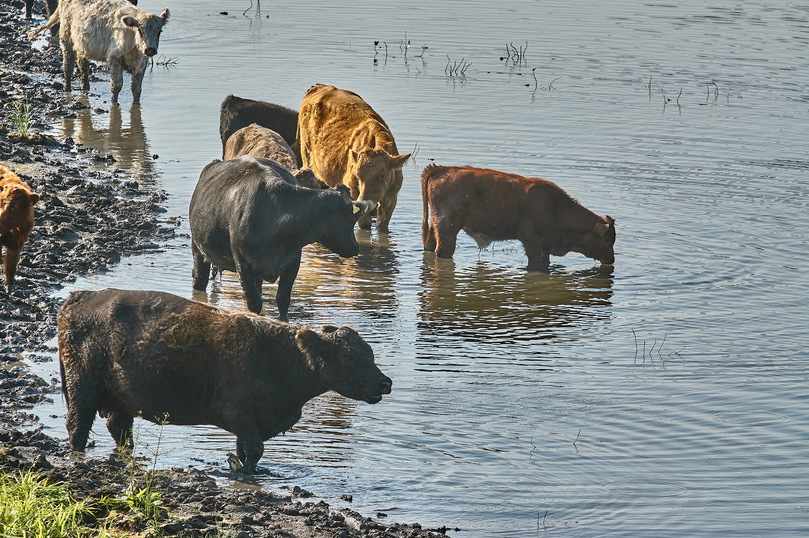 Geselligkeit am Wasser