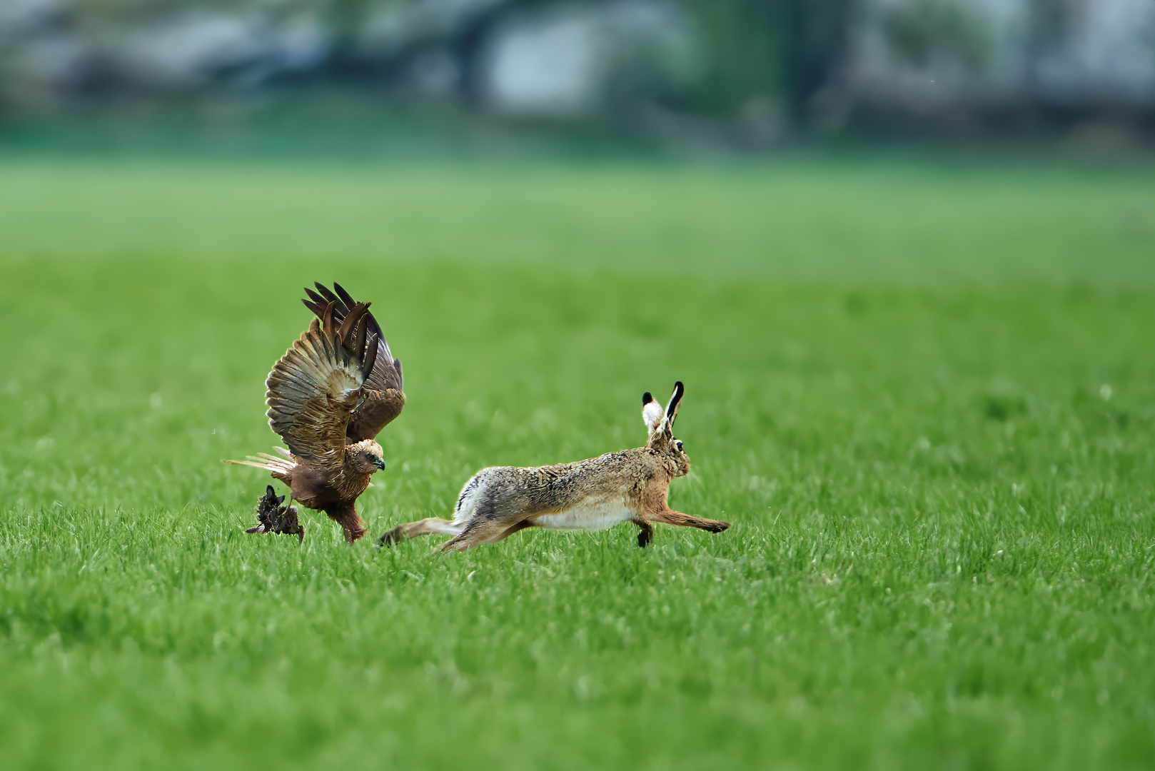 Gesetze der Natur...