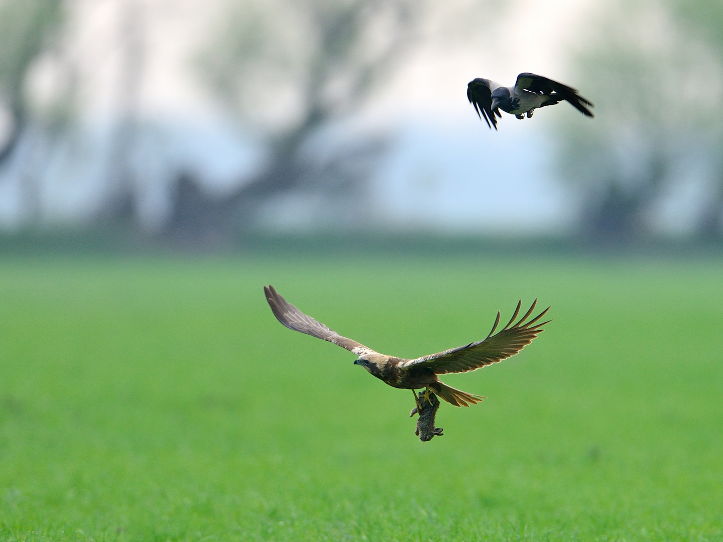 Gesetze der Natur Teil 2