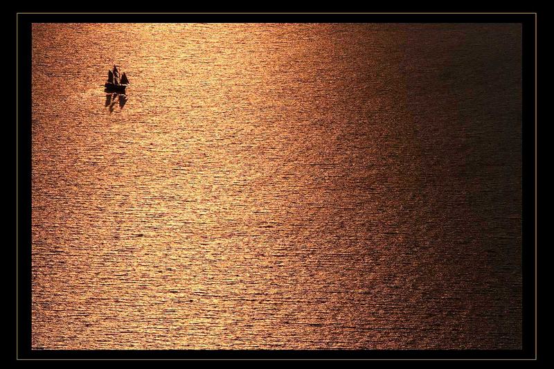 Gesetzte Segel in der Abendsonne