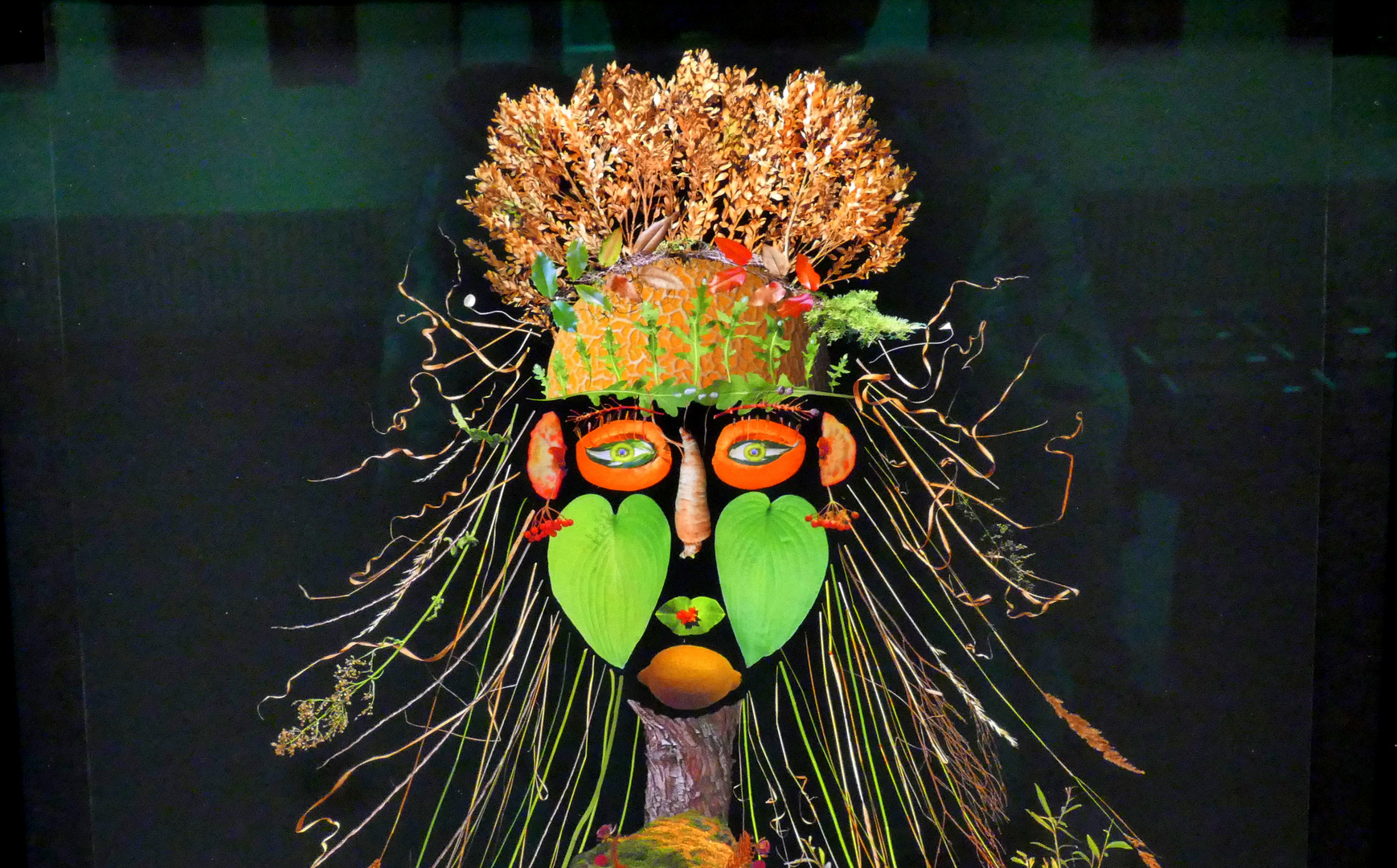 "Gesicht à Arcimboldo"