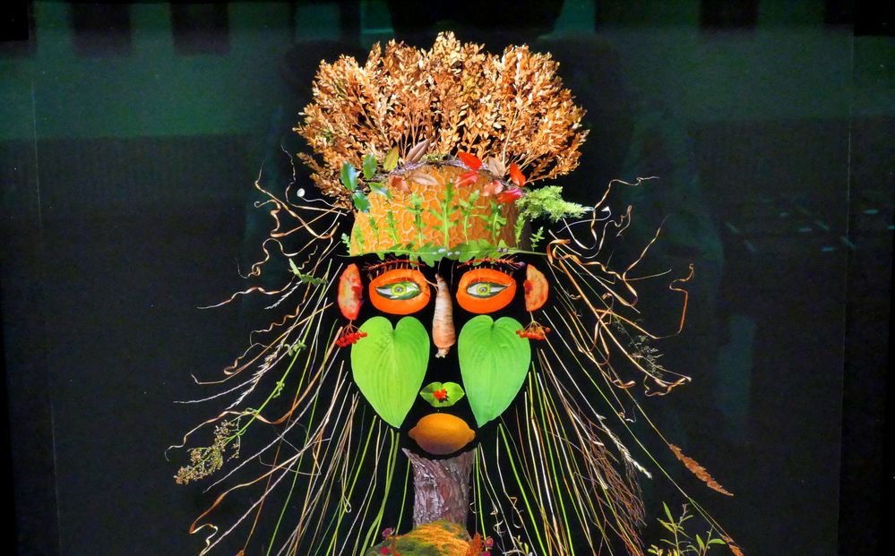 "Gesicht à Arcimboldo"