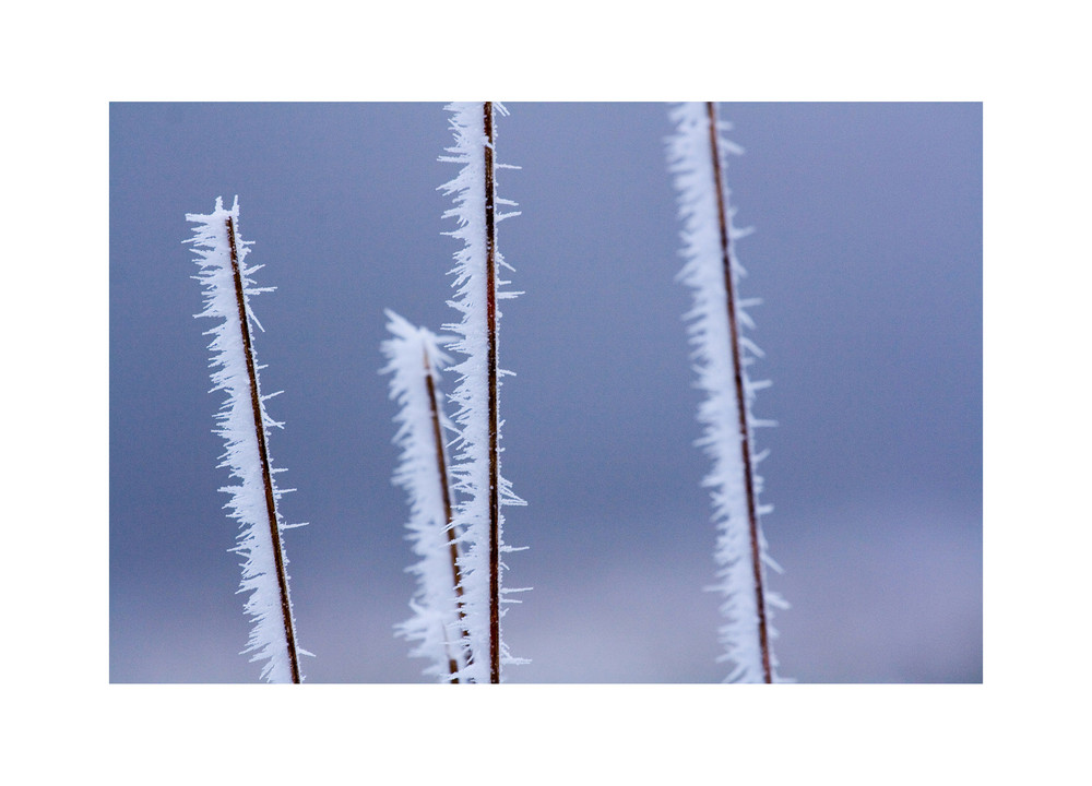 Gesicht des Winters