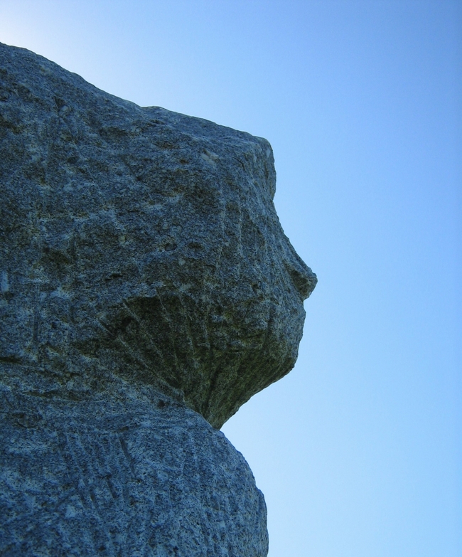 gesicht im wind