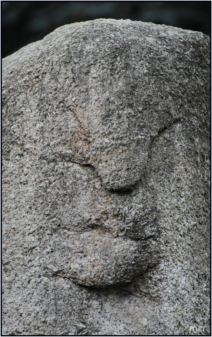 Gesicht in Stein