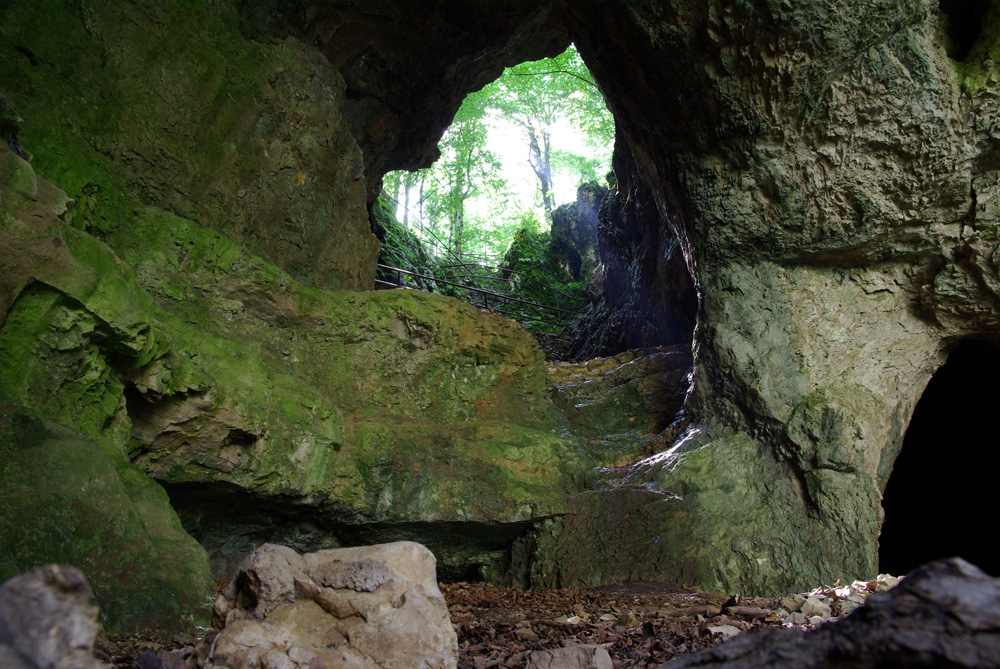 Gesicht in Stein