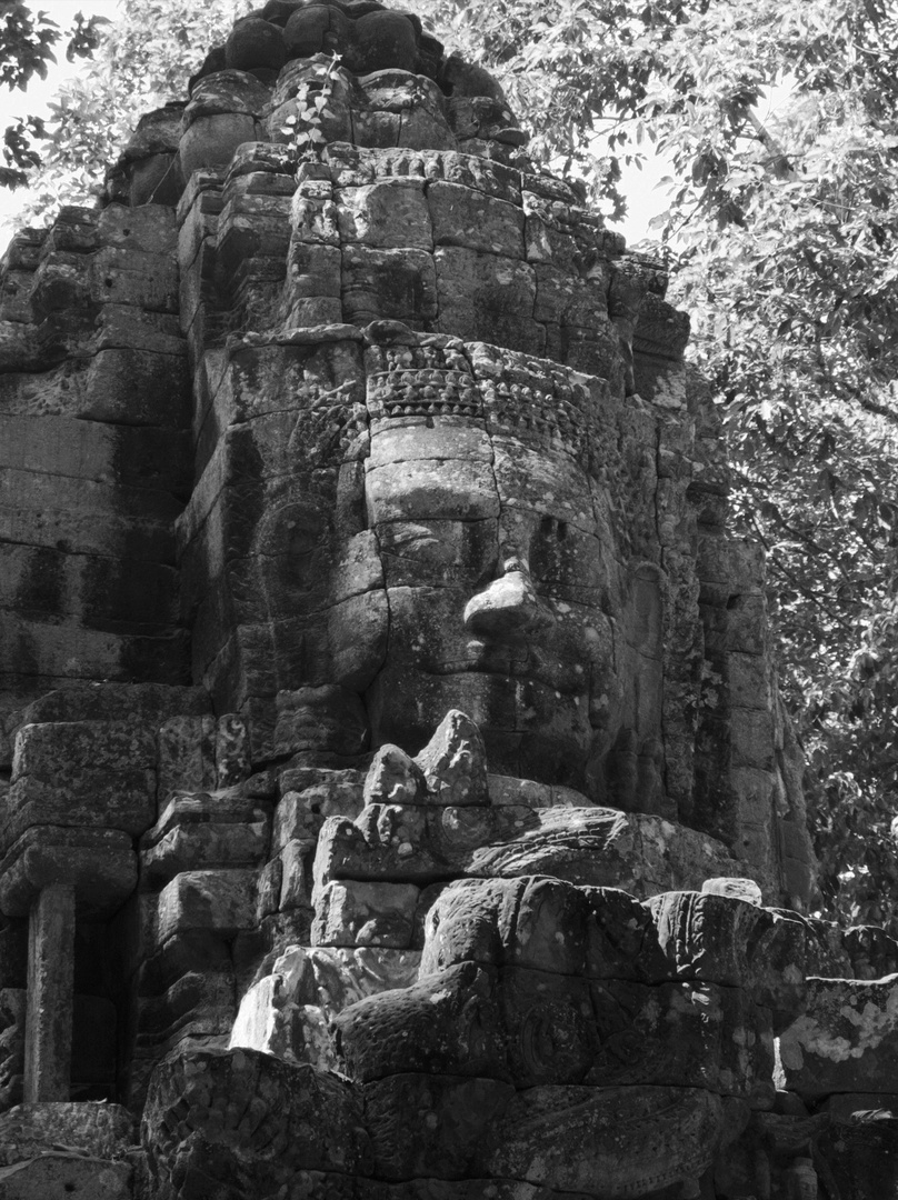 Gesicht Tempel Anghor Camb P20-20-swfi0