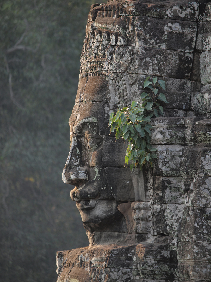 Gesicht von Angkor Thom