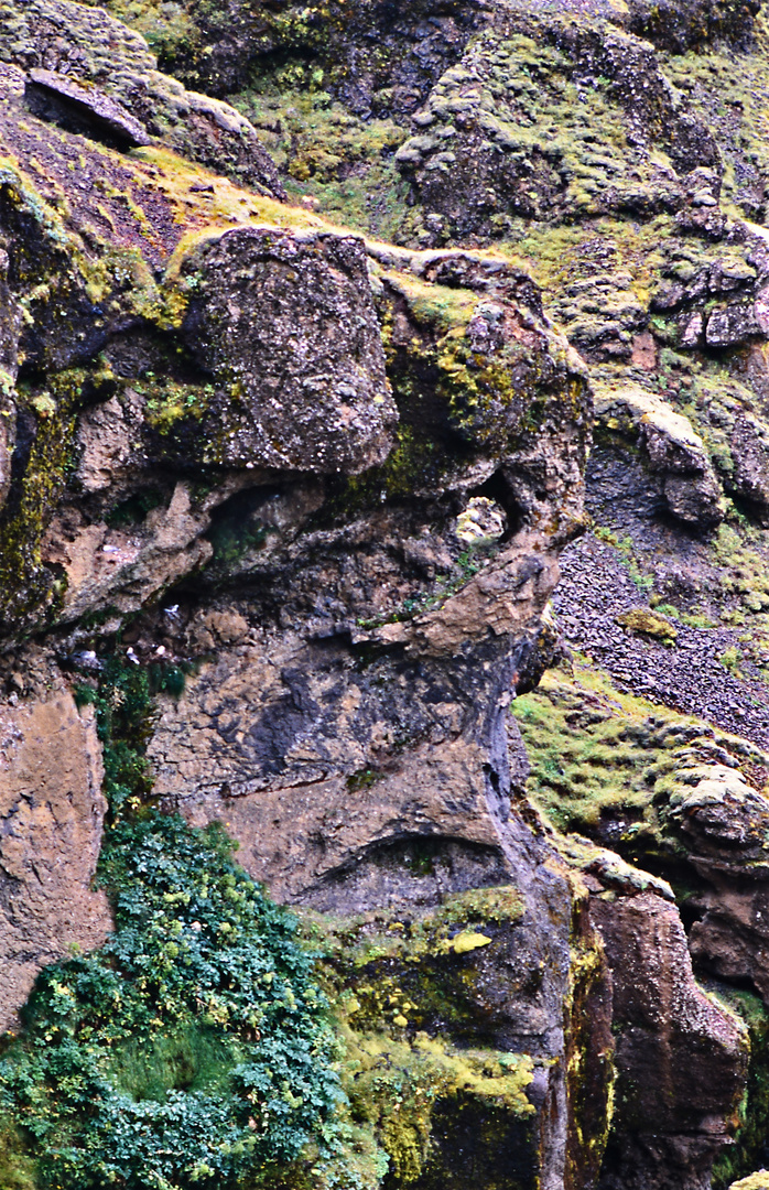 Gesichter am Skogafoss 02