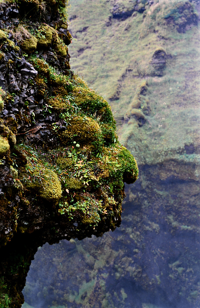 Gesichter am Skogafoss 03