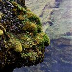 Gesichter am Skogafoss 03