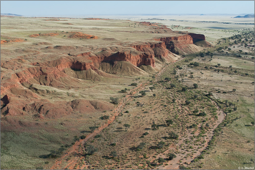 Gesichter der Namib #1