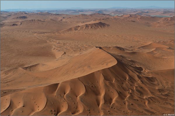 Gesichter der Namib #10