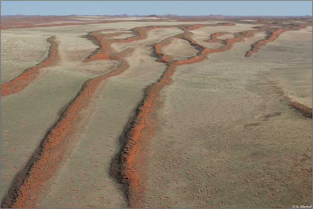 Gesichter der Namib #3