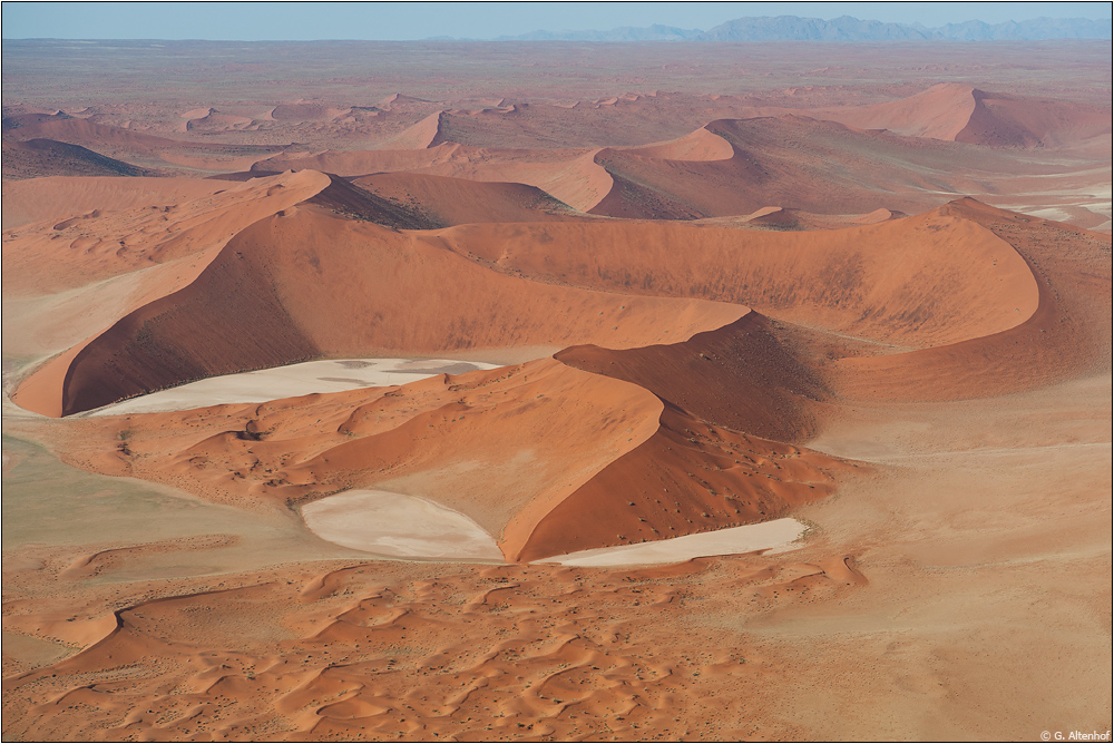 Gesichter der Namib #5