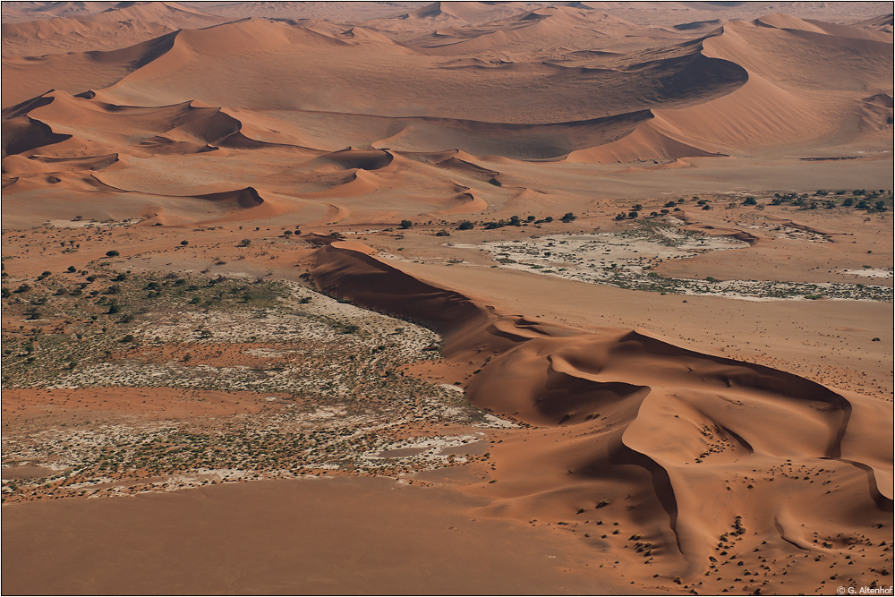 Gesichter der Namib #9