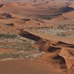 Gesichter der Namib #9