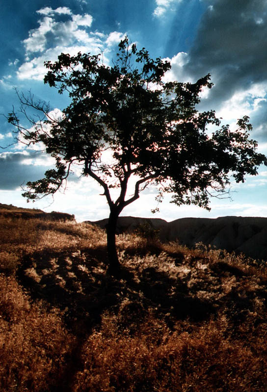 Gesichter der Natur in Cappadocia - 1