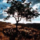 Gesichter der Natur in Cappadocia - 1