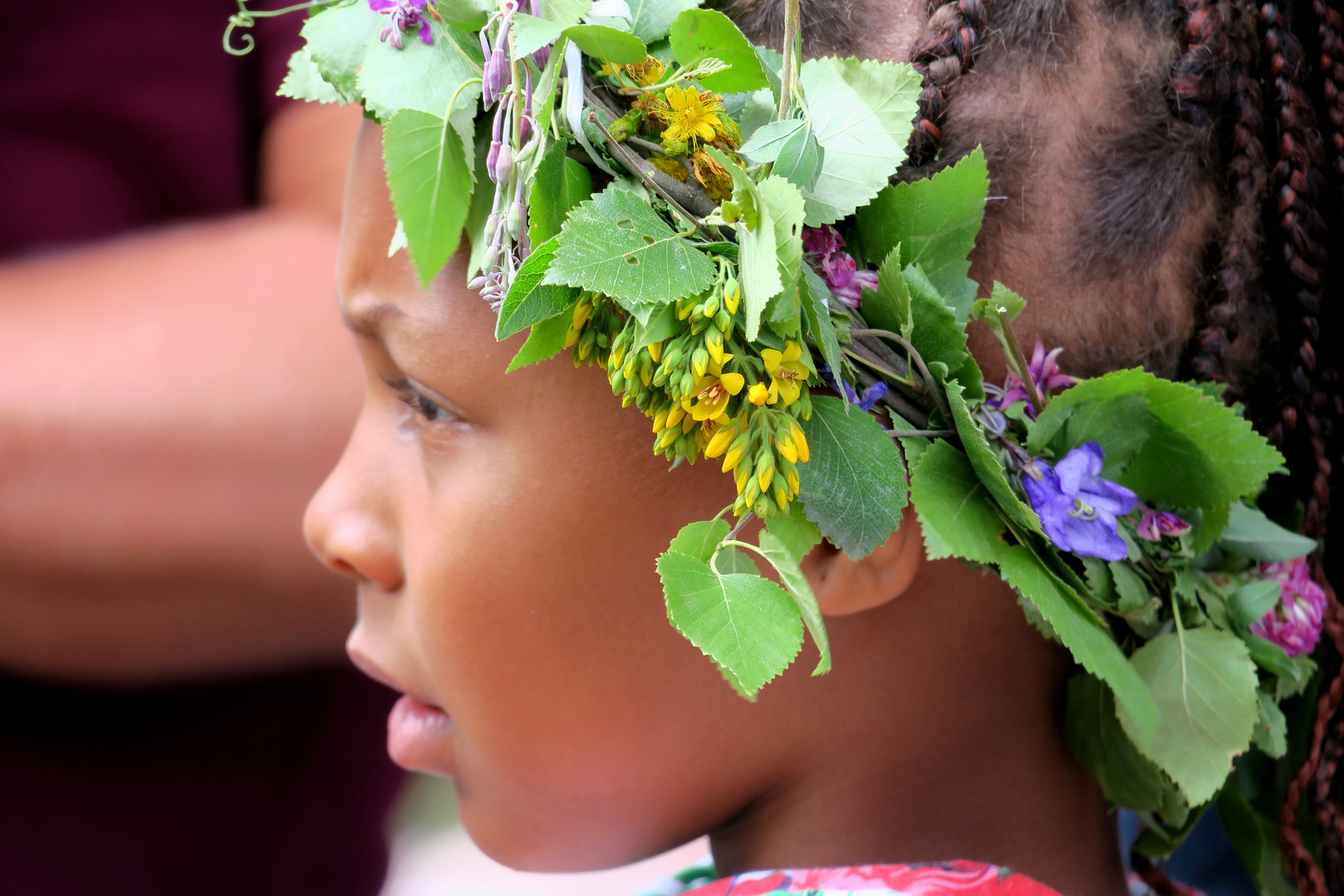 Gesichter des Midsommar 2018