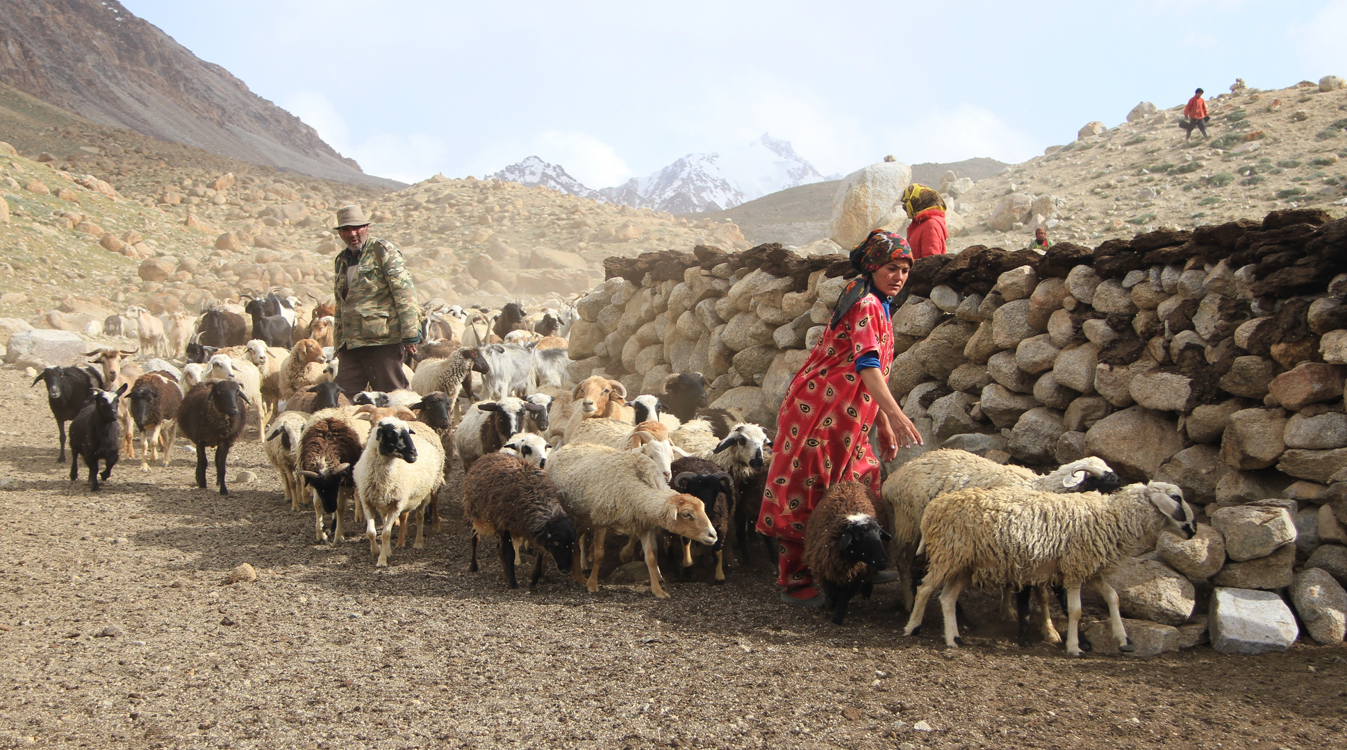 Gesichter des Pamirs II