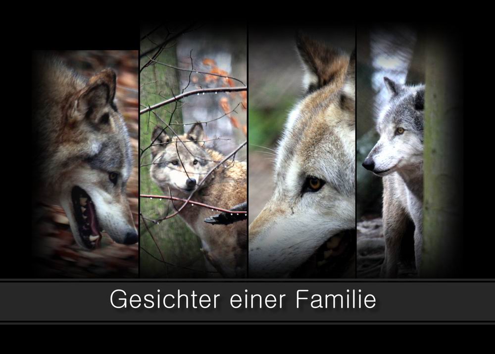 -Gesichter einer Familie-