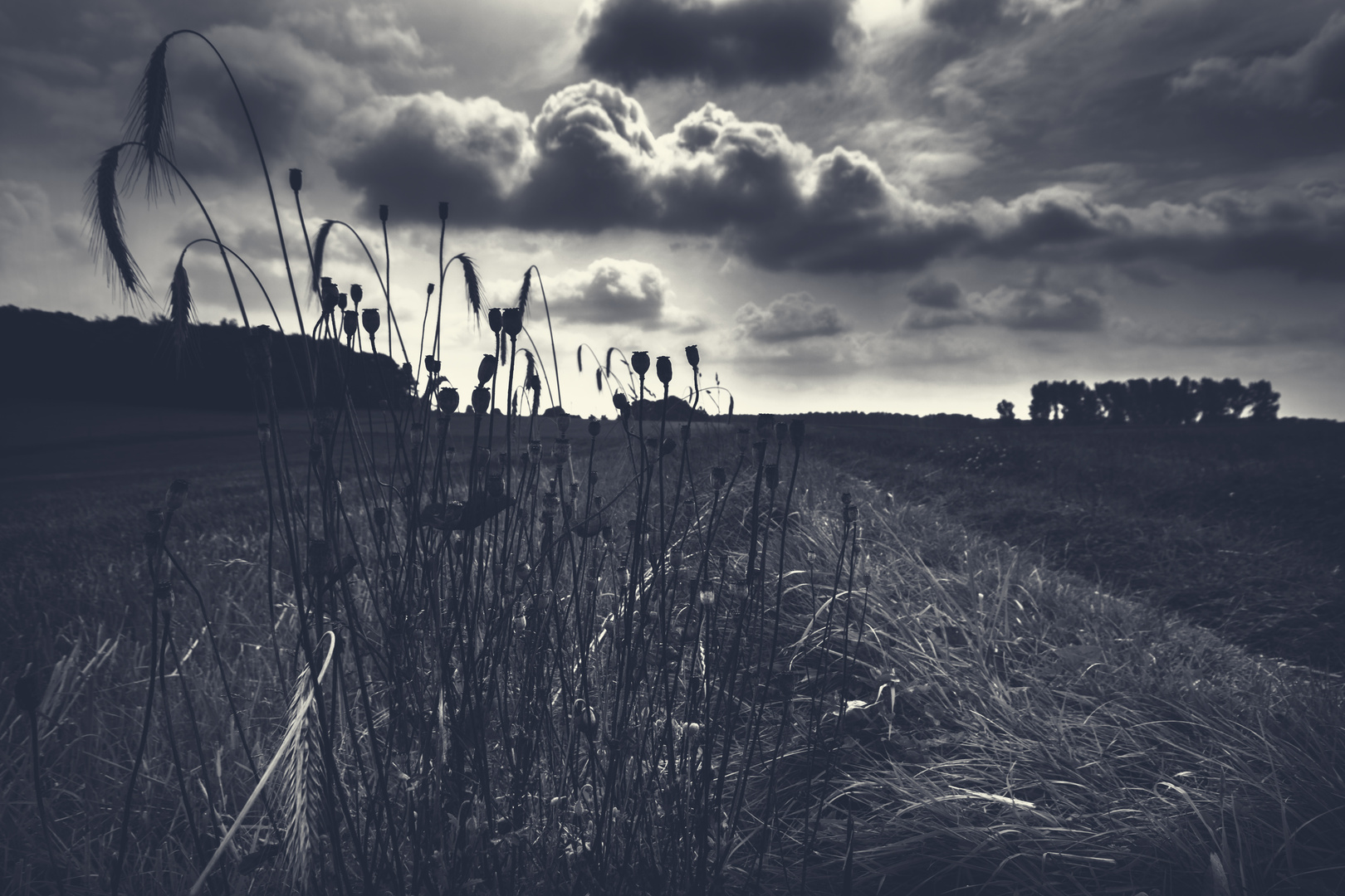 Gesichter in den Wolken