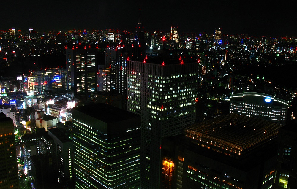 "Gesichter Japans": Ausblick aus dem Rathaus von Tokio, Teil 2