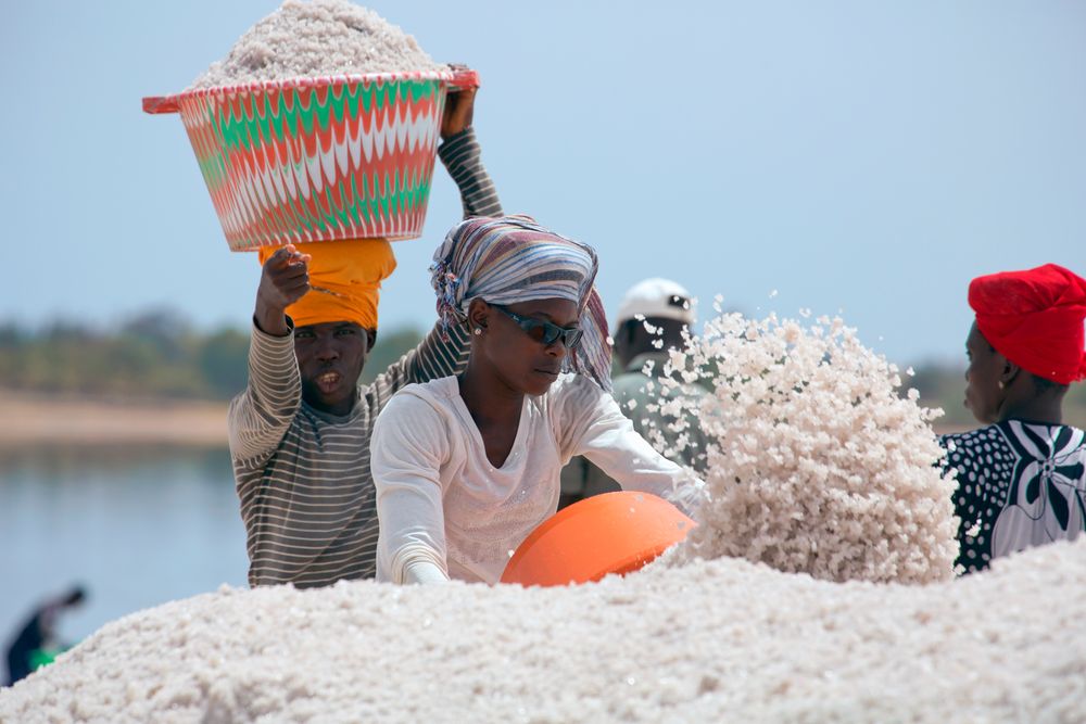 Gesichter von Senegal