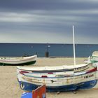 Gesichtet: am Strand von Blanes