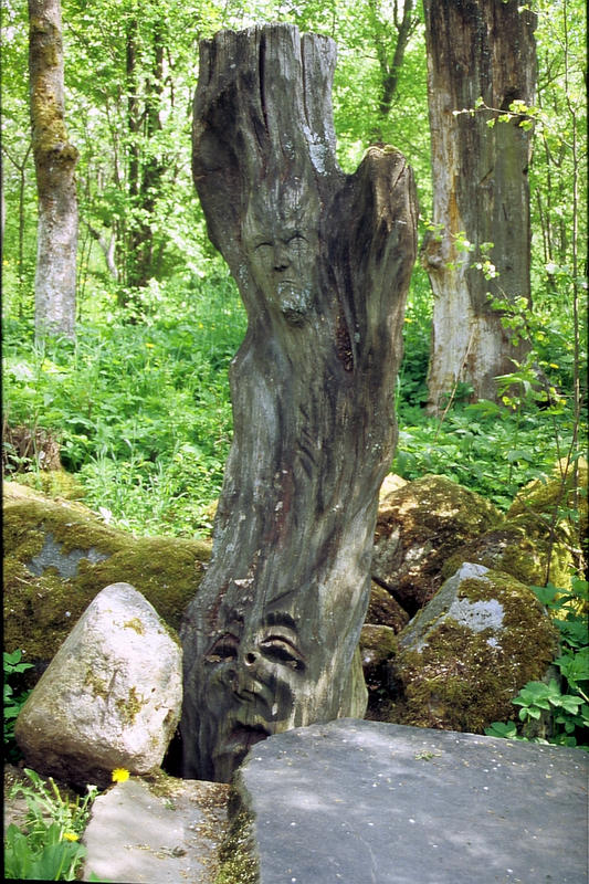 Gesichtsausdrücke in Holz