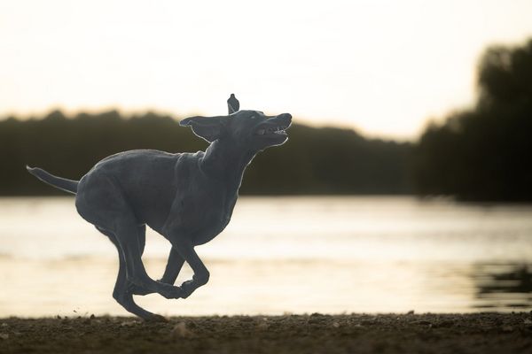 Gesichtsentgleisung incl. :-))