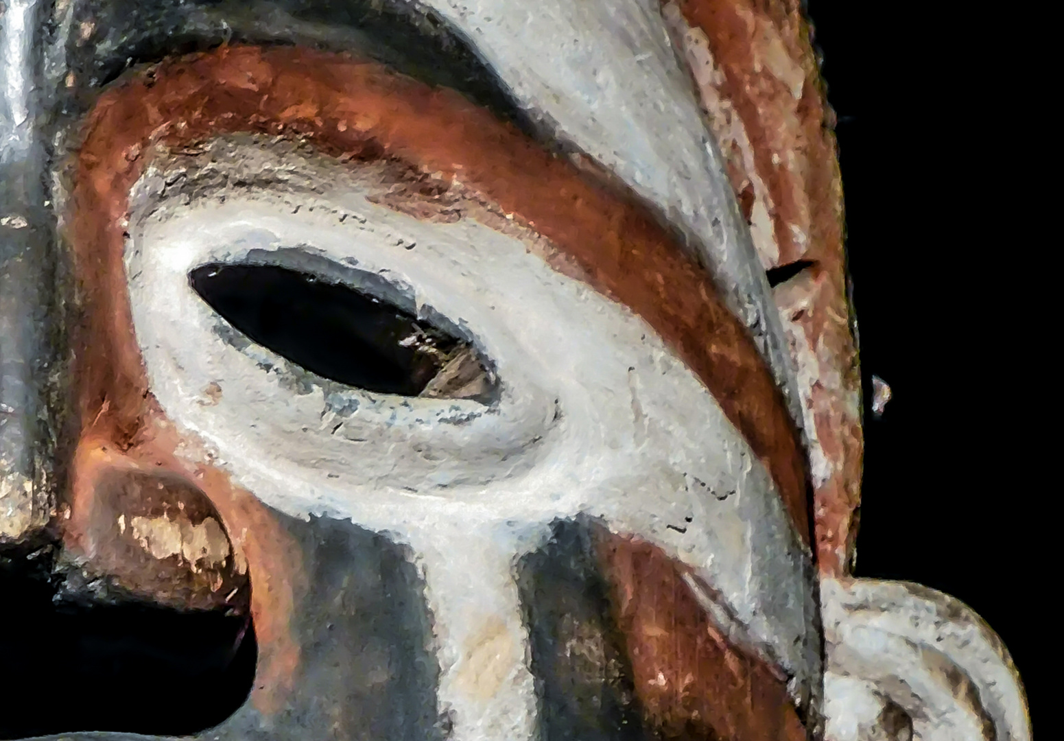 Gesichtsmaske aus Eidechsenhaut (Detail), Kongo, 19. Jhd.