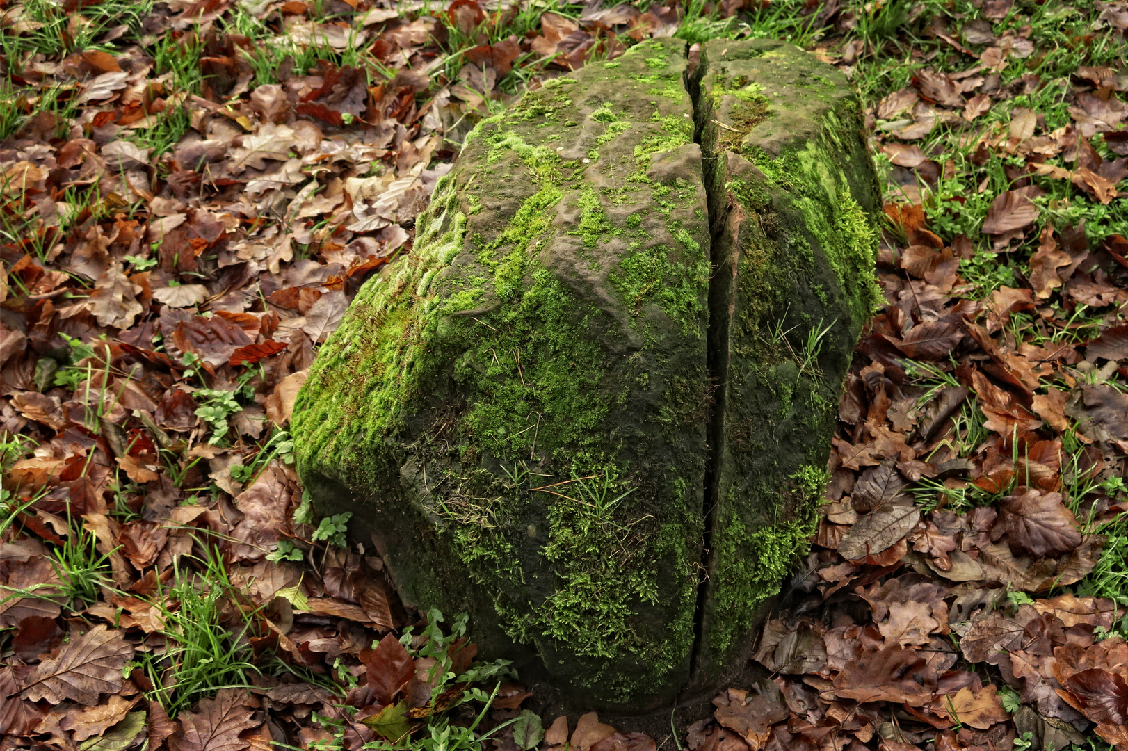 Gespaltener Sandstein - gesehen am 11.12.15